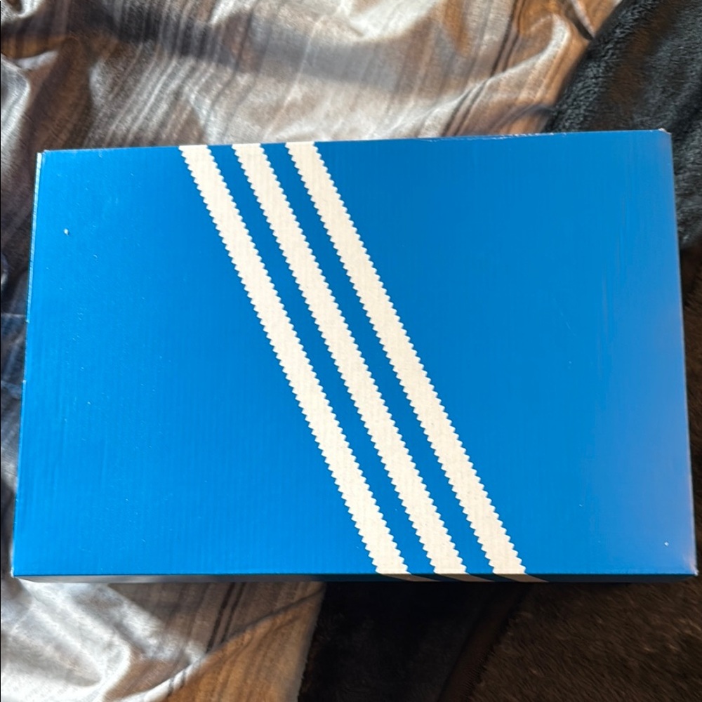 Adidas Superstar Box in Blue and White